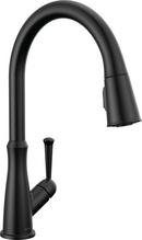 Single Handle Kitchen Faucet in Matte Black