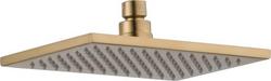 Dual Function Showerhead in Brilliance&reg; Champagne Bronze