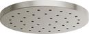 Single Function Showerhead in Brilliance® Luxe Nickel®