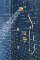 Wall Elbow For Hand Shower in Lumicoat&reg; Champagne Bronze 