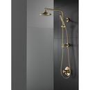 Delta Faucet Lumicoat Champagne Bronze 26-1/16 in. Shower Rail 