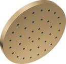 Delta Faucet Brilliance® Champagne Bronze Single Function Rain Showerhead 