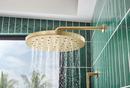 Brizo Luxe Gold Single Function Rain Showerhead 