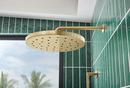 Brizo Luxe Gold Single Function Rain Showerhead 