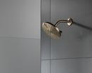 Delta Faucet Lumicoat Champagne Bronze Multi Function Showerhead 