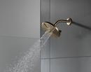 Delta Faucet Lumicoat Champagne Bronze Multi Function Showerhead 