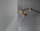 Delta Faucet Lumicoat Champagne Bronze Multi Function Showerhead 