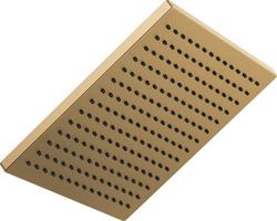 Single Function Showerhead in Brilliance® Champagne Bronze