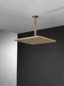 Delta Faucet Lumicoat Champagne Bronze Single Function Showerhead 