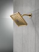 Delta Faucet Lumicoat Champagne Bronze Multi Function Showerhead 