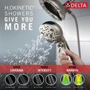 Delta Faucet Lumicoat Stainless Multi Function Hand Shower 