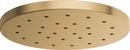 Single Function Showerhead in Luxe Gold