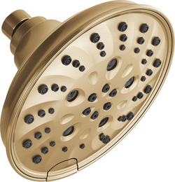 Multi Function Showerhead in Lumicoat Champagne Bronze