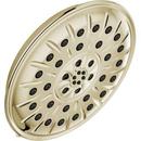Multi Function Showerhead in Lumicoat Polished Nickel