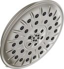 Multi Function Showerhead in Stainless