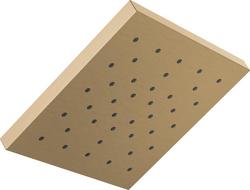 Single Function Showerhead in Brilliance® Champagne Bronze