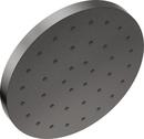 Single Function Showerhead in Lumicoat Black Stainless