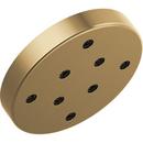 Single Function Showerhead in Lumicoat Champagne Bronze