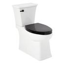 Elongated Toilet Bowl in White 