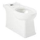 Elongated Toilet Bowl in White