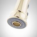 Signature Hardware Polished Brass Single Handle Pull Down Kitchen Faucet 