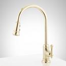 Signature Hardware Polished Brass Single Handle Pull Down Kitchen Faucet 