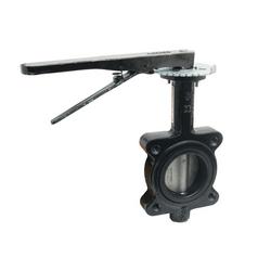 6 in. Ductile Iron Flanged EPDM 10 Position Locking Lever Handle Butterfly Valve
