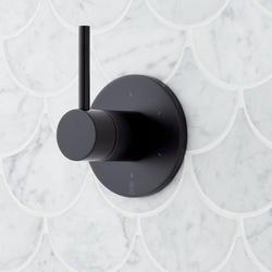 Single Handle Diverter Valve Trim in Matte Black (Trim Only)