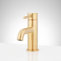 Single Handle Monoblock Bathroom Sink Faucet in Brushed Gold