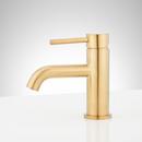 Single Handle Monoblock Bathroom Sink Faucet in Brushed Gold 