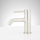 Single Handle Monoblock Bathroom Sink Faucet in Brushed Nickel 