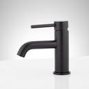 Signature Hardware Polished Brass Single Handle Monoblock Bathroom Sink Faucet 
