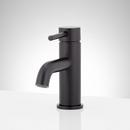 Single Handle Monoblock Bathroom Sink Faucet in Matte Black