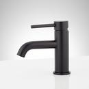 Single Handle Monoblock Bathroom Sink Faucet in Matte Black 