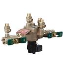 Watts Bronze Bronze FNPT 175 psi Backflow Preventer 