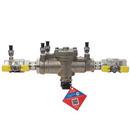 Watts Stainless Steel Stainless Steel FNPT 175 psi Backflow Preventer 
