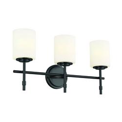 75W 3-Light Medium E-26 Vanity Fixture in Black