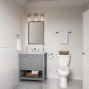 2-Light Vanity Fixture in Brushed Nickel 