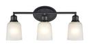 3-Light Vanity Fixture in Matte Black 