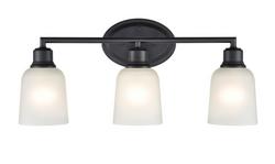 3-Light Vanity Fixture in Matte Black