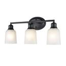 3-Light Vanity Fixture in Matte Black 