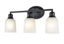 3-Light Vanity Fixture in Matte Black 