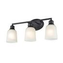 3-Light Vanity Fixture in Matte Black 