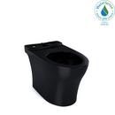 Elongated Floor Mount Bowl Toilet in Ebony