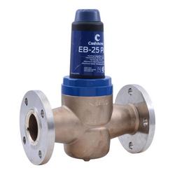 2-1/2 in. 300 psi Bronze Flanged Pressure Regulating Valve