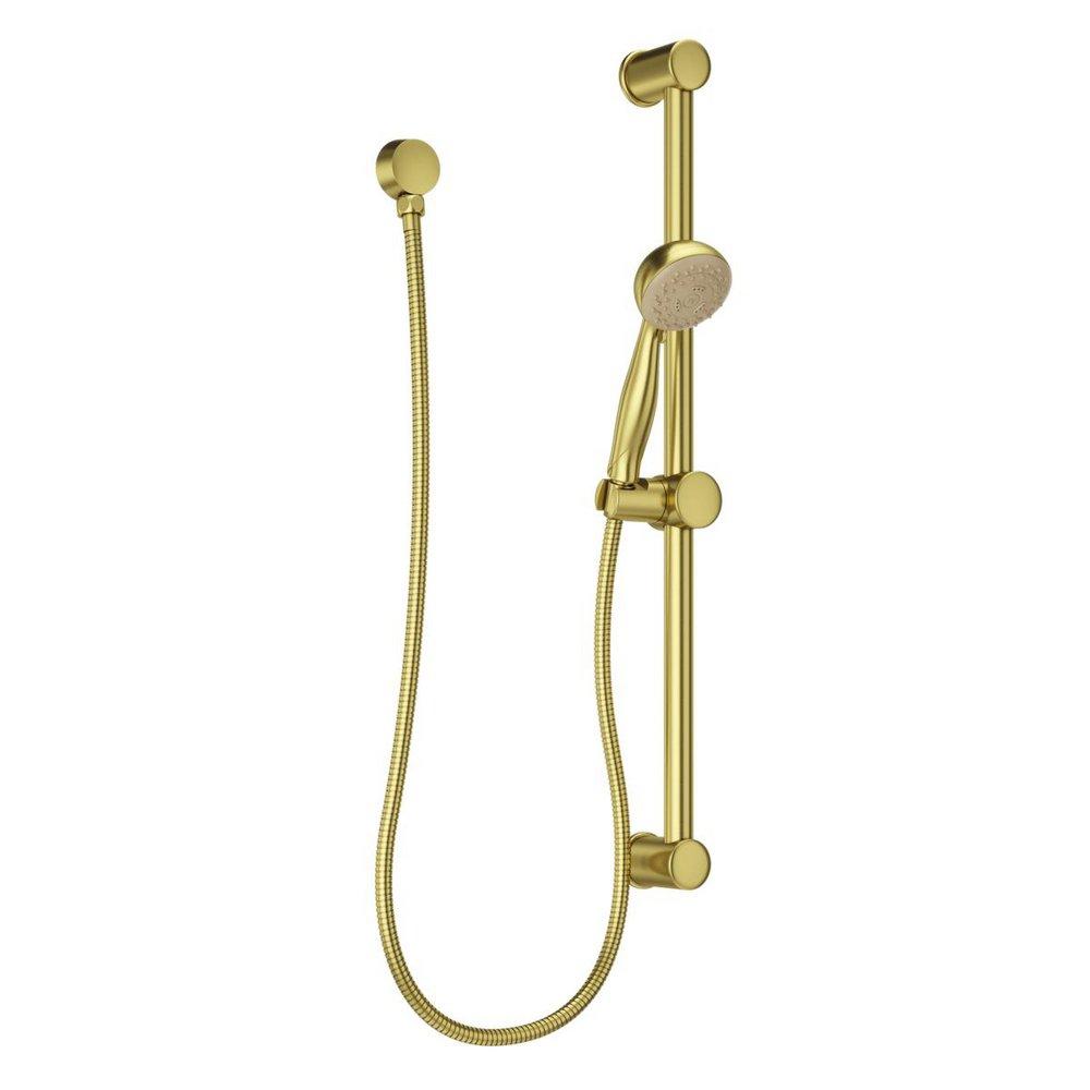 MULTI-FUNCTION ADA HANDSHOWER IN BRUSHED GOLD 