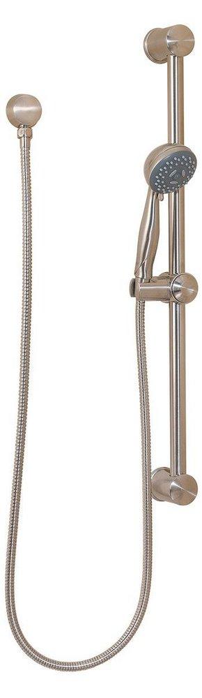 MULTI-FUNCTION ADA HANDSHOWER IN POLISHED NICKEL 