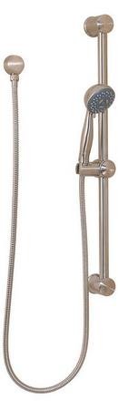 MULTI-FUNCTION ADA HANDSHOWER IN POLISHED NICKEL 