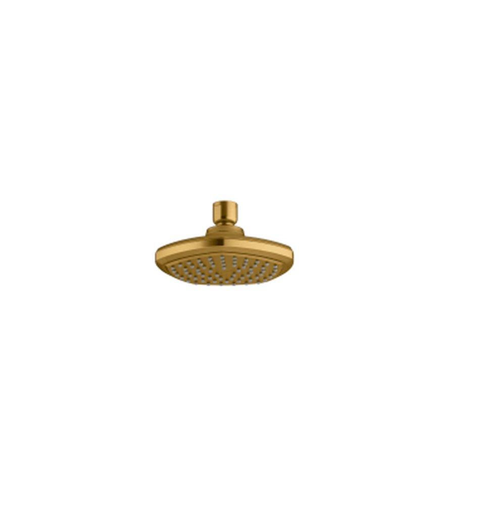 KOHLER Vibrant&reg; Brushed Moderne Brass Single Function Drenching Showerhead 