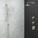 KOHLER Vibrant Brushed Nickel Single Function Hand Shower 